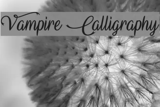 Vampire Calligraphy Font examples