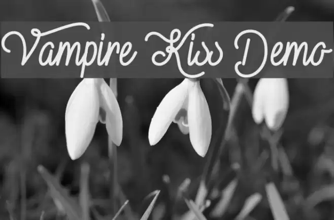 Vampire Kiss Demo Font examples