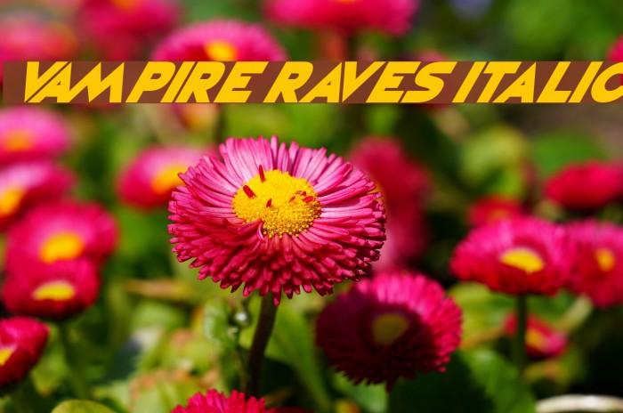 Vampire Raves Italic Font examples
