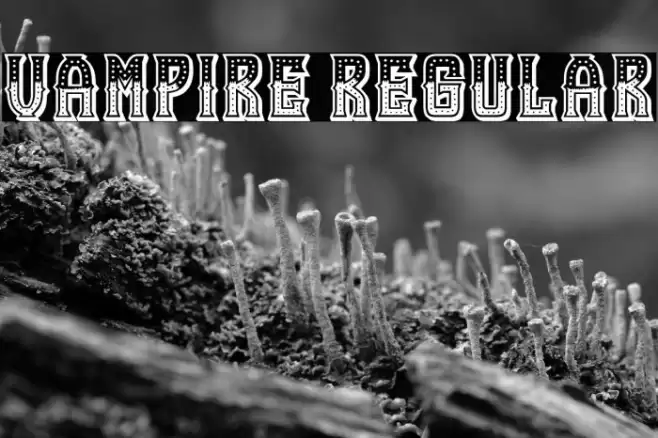 Vampire Regular Font examples