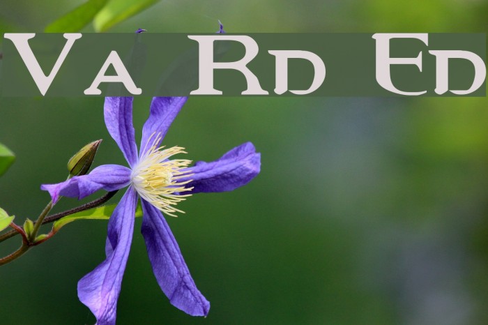 Vampire Revised Edition Font examples