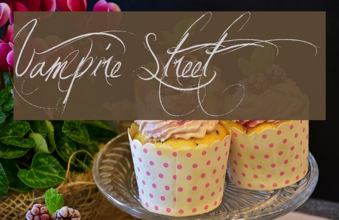 Vampire Street Font examples