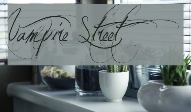 Vampire Street Example 2