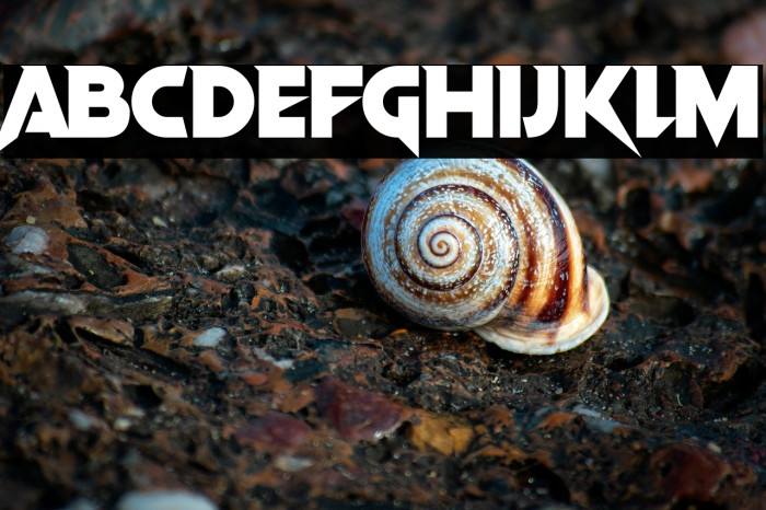 Vampire Wars Example 2