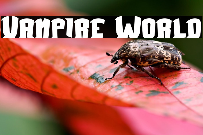 Vampire World Example 3