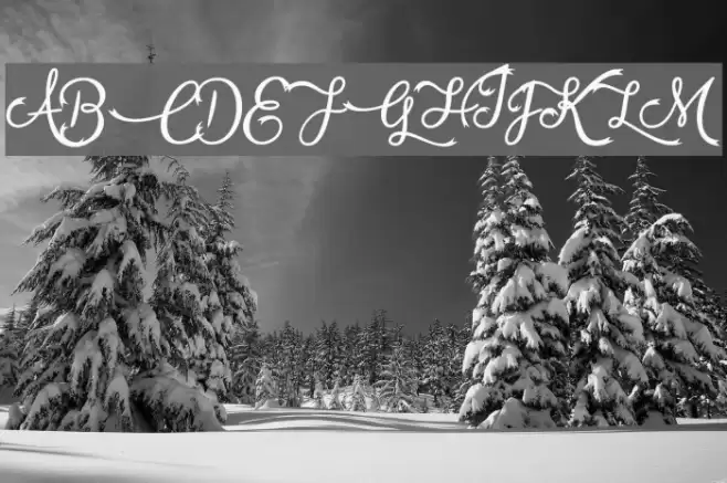 VampireCalligraphy Font examples