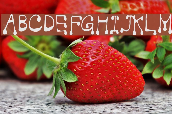 Vampire Font examples
