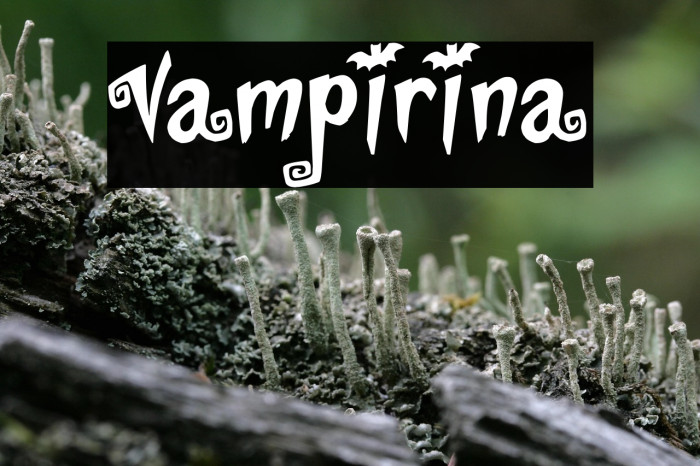 Vampirina Example 2