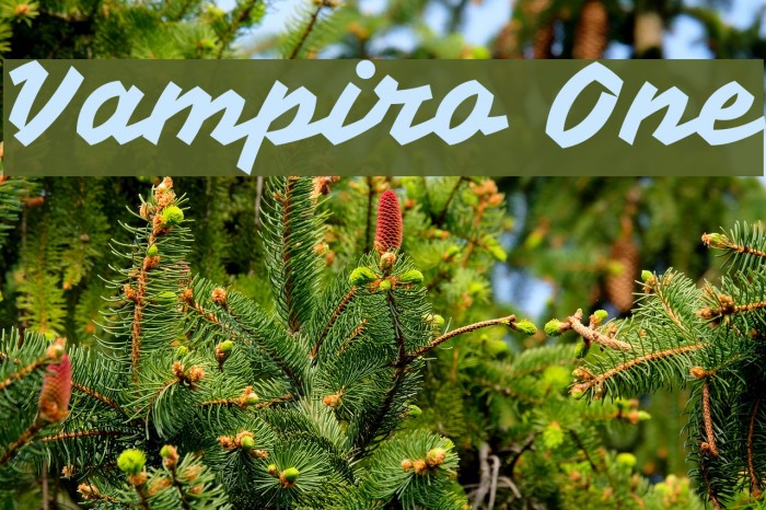 Vampiro One Font examples