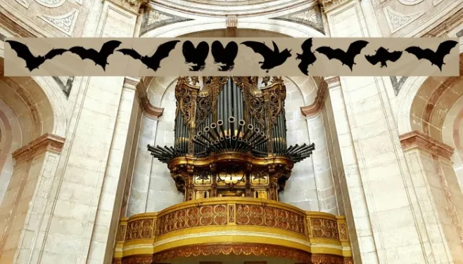 VampyrBats Example 1