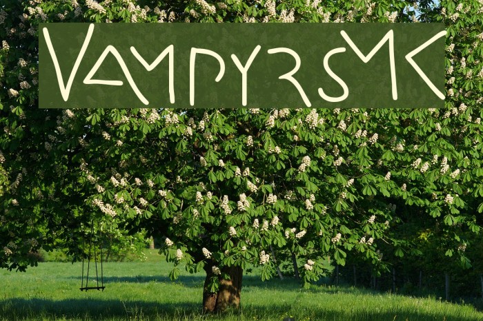 VampyrsMK Font examples