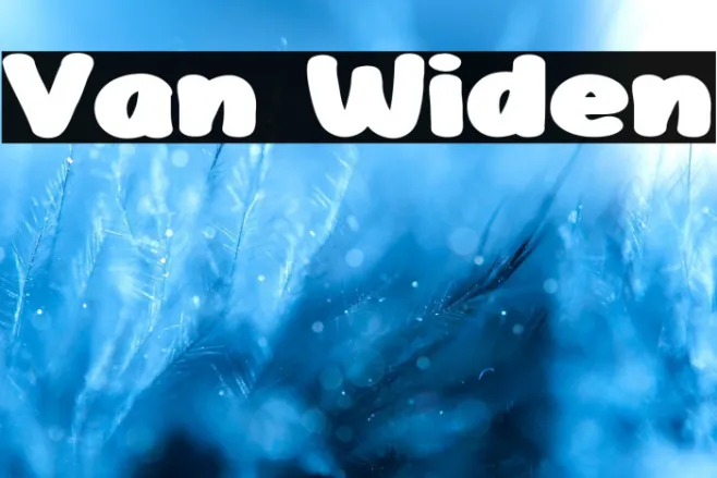 Van Widen Example 1