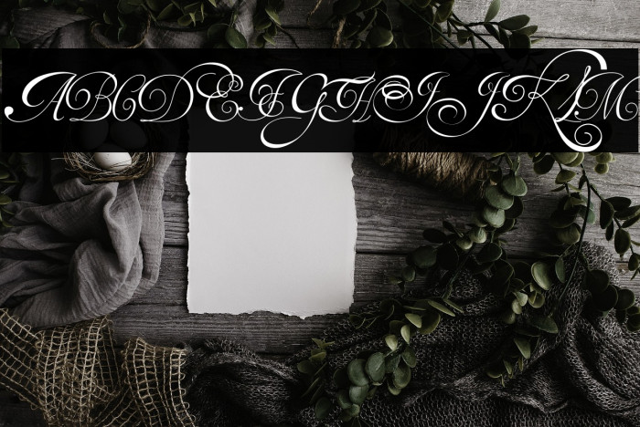 Van den Velde Script Example 3