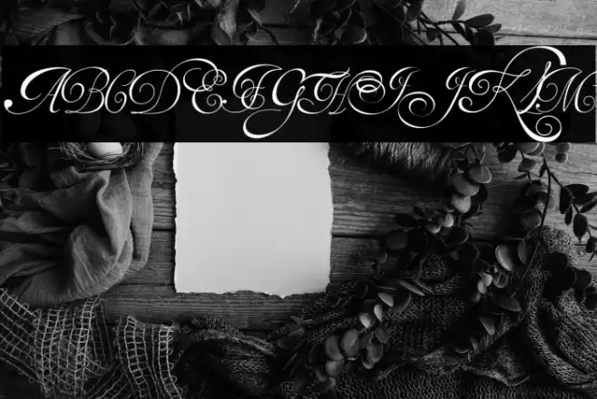 Van den Velde Script Font examples