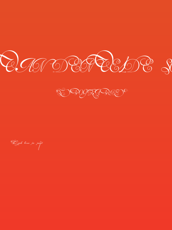 Van den Velde Script Poster