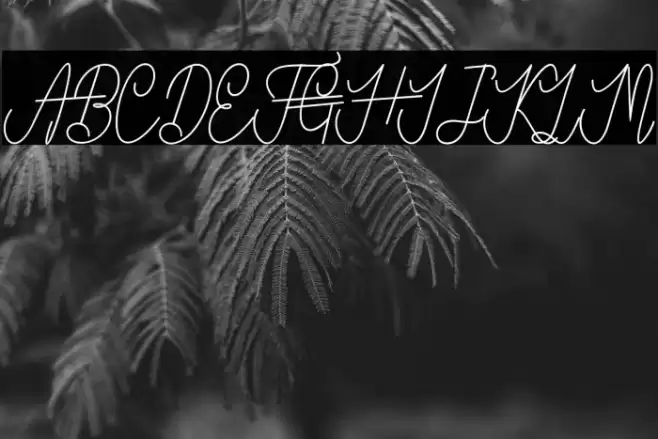 VanBastenBold-Bold Font examples