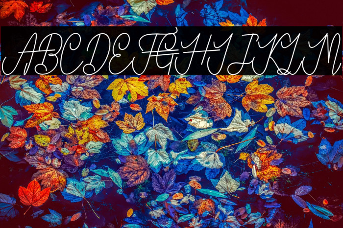 VanBastenBold-Bold Example 2