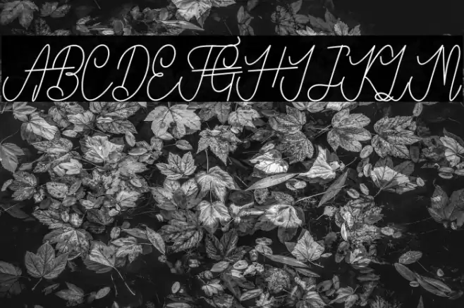 VanBastenBold-Bold Font examples