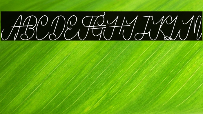 VanBastenBold-Bold Example 3