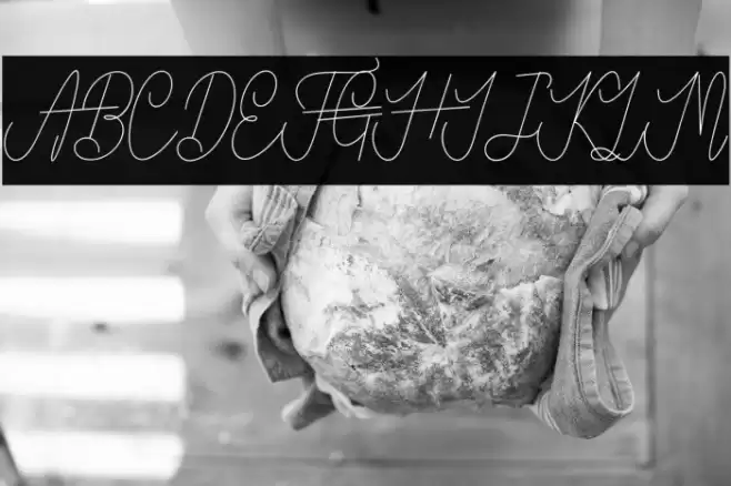 VanBastenNormal-Regular Font examples