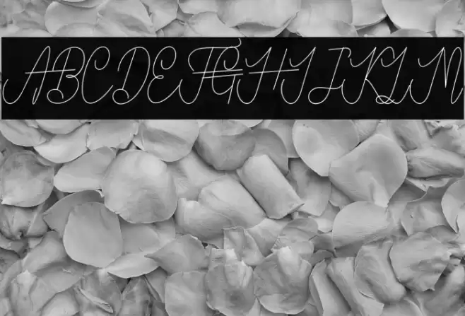 VanBastenNormal-Regular Font examples