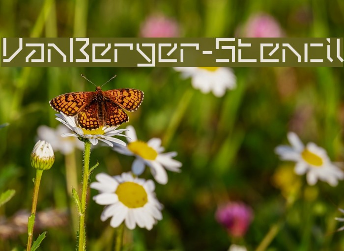 VanBerger-Stencil Font examples