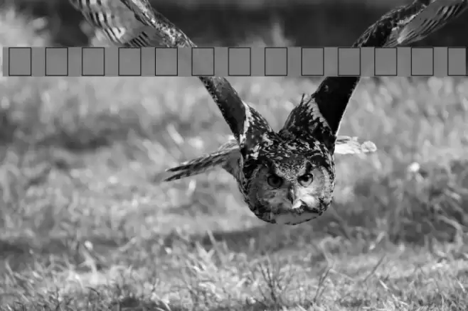 VanGogh Шрифта examples