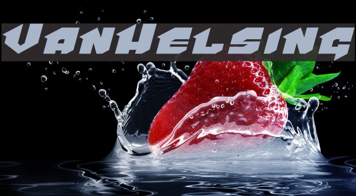 VanHelsing Example 1