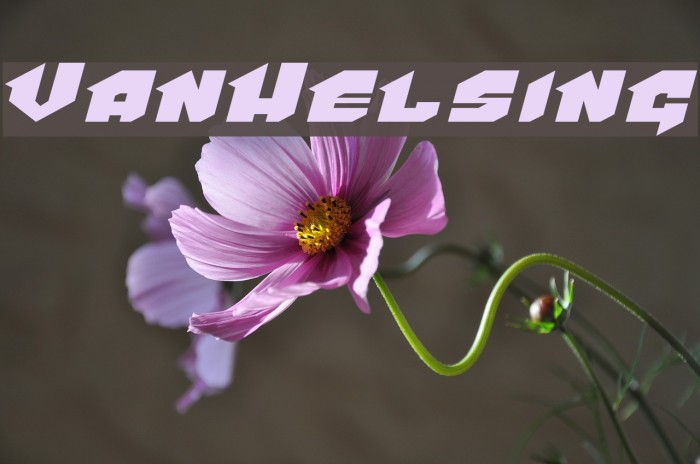 VanHelsing Example 2