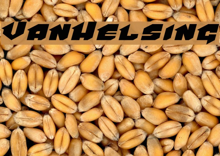 VanHelsing Example 3