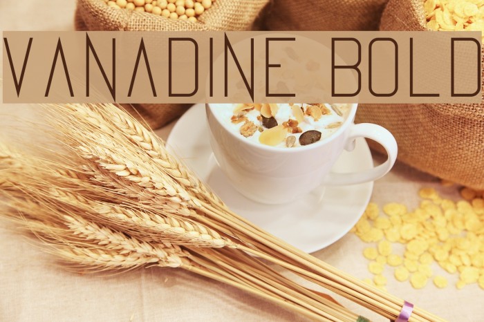 Vanadine Bold Font examples