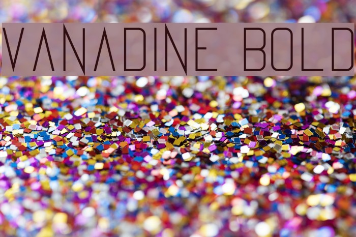 Vanadine Bold Font examples