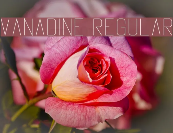 Vanadine Regular Example 2