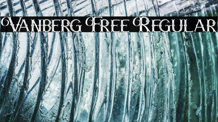 Vanberg Free Regular Example 1