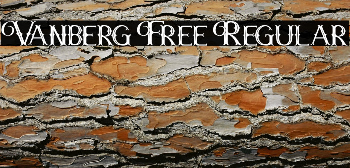 Vanberg Free Regular Example 2