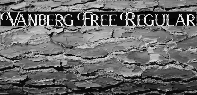 Vanberg Free Regular Font examples