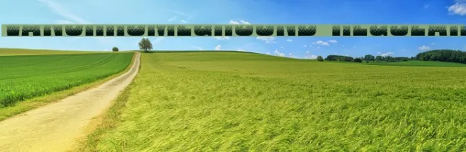 VanchromeGround-Regular Example 3