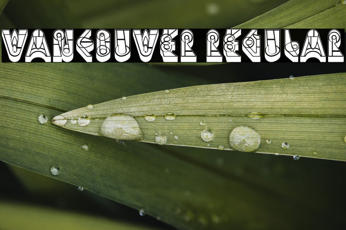 Vancouver Regular Example 1