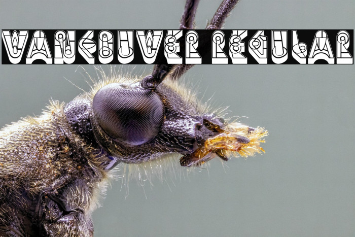 Vancouver Regular Example 2