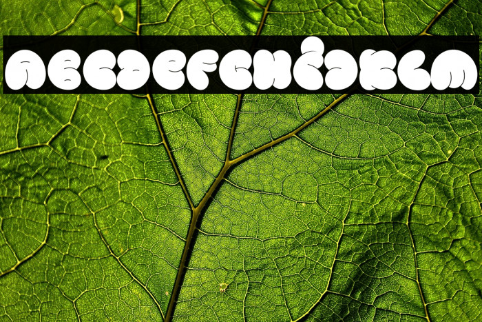 Vandal Blow Graffiti Regular Example 2