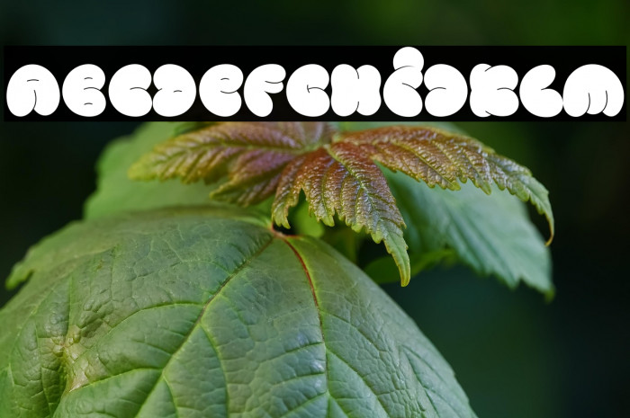 Vandal Blow Graffiti Regular Example 3