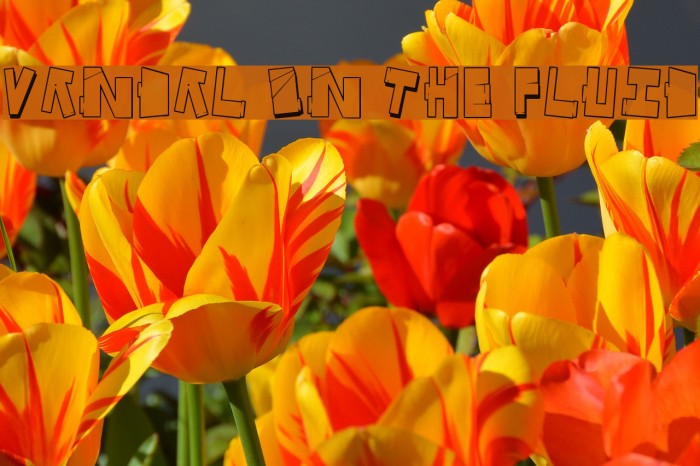 Vandal On The Fluid Font examples