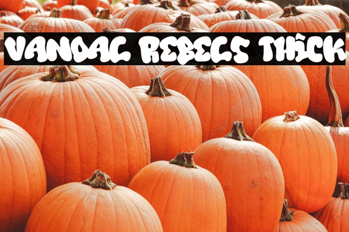 Vandal Rebels Thick Example 2