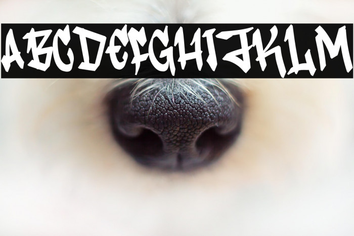 Vandal Rush Example 2