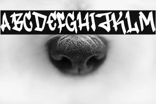 Vandal Rush Caratteri examples