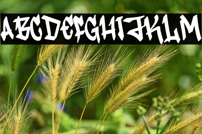 Vandal Rush Example 3