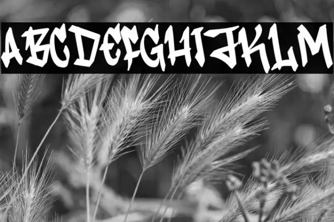 Vandal Rush Caratteri examples