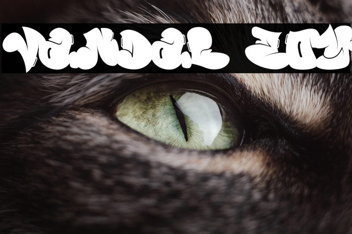 Vandal Zoy Example 1