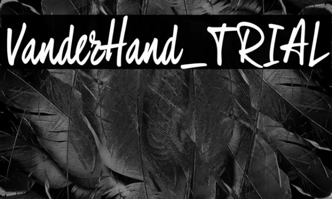 VanderHand_TRIAL Font examples