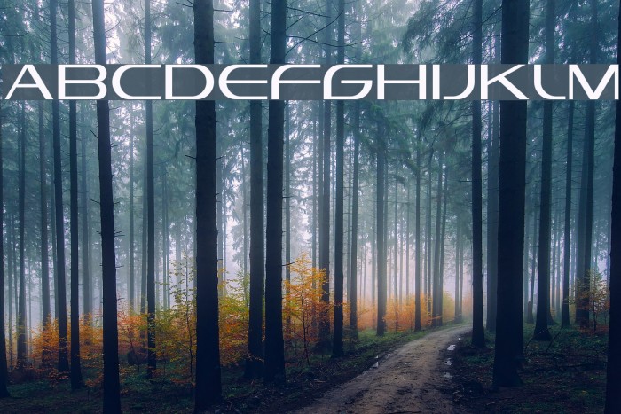 Vandiana Platin Lite Font examples
